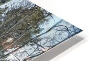 Mueller Aspen Series: Aspen Tree Trail HD Metal print