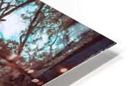 Enchanted Southern Grove: Bulow in Infrared HD Metal print