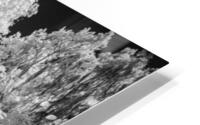 Infrared Pathway Impression metal HD