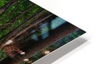 Woodland Bridge Reflections HD Metal print