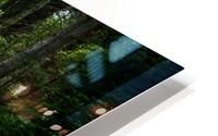 Fern Light HD Metal print