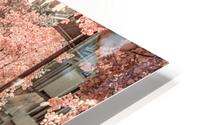 City in Bloom: Yorks Stroll Through Infrared Hues HD Metal print