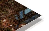 Whispers of the Creek HD Metal print