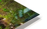 Mossy Log HD Metal print