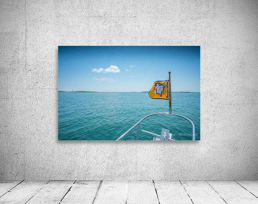 Great loop bow Wall Preview