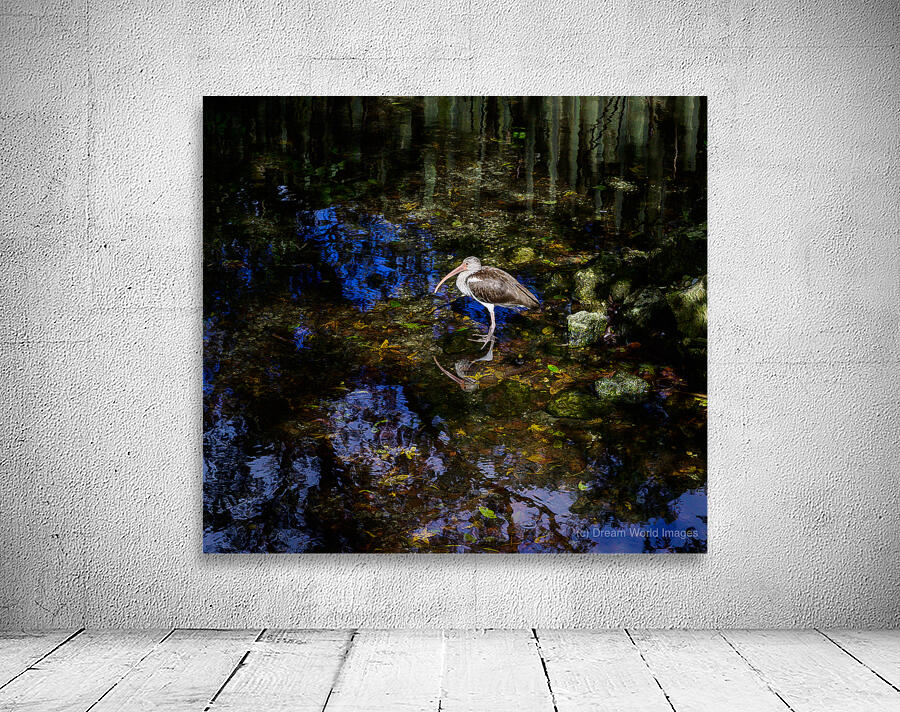 Songbirds and Sunshine: A Day of Birdwatching Bliss Wall Preview