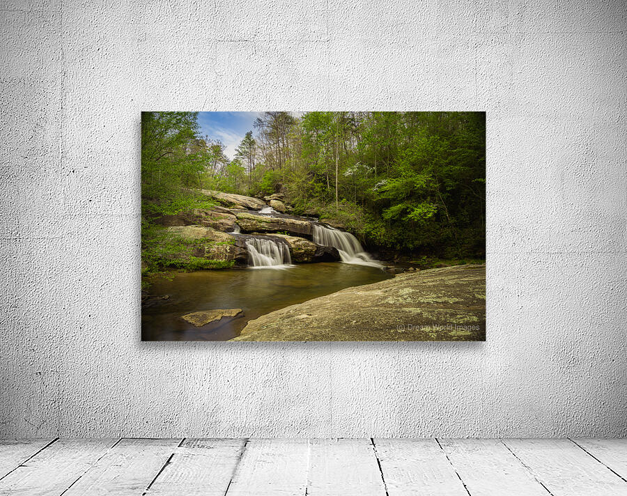 Forest Falls - Chau Ram Wall Preview