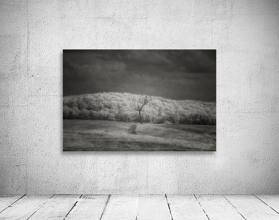 Luminous Isolation Wall Preview