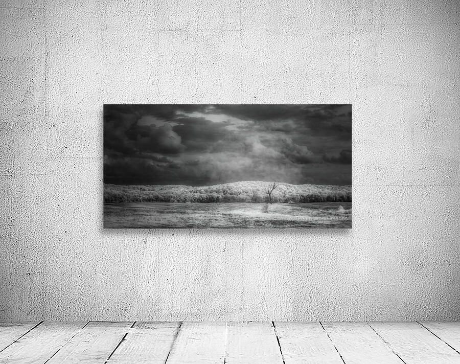 Radiant Isolation Wall Preview