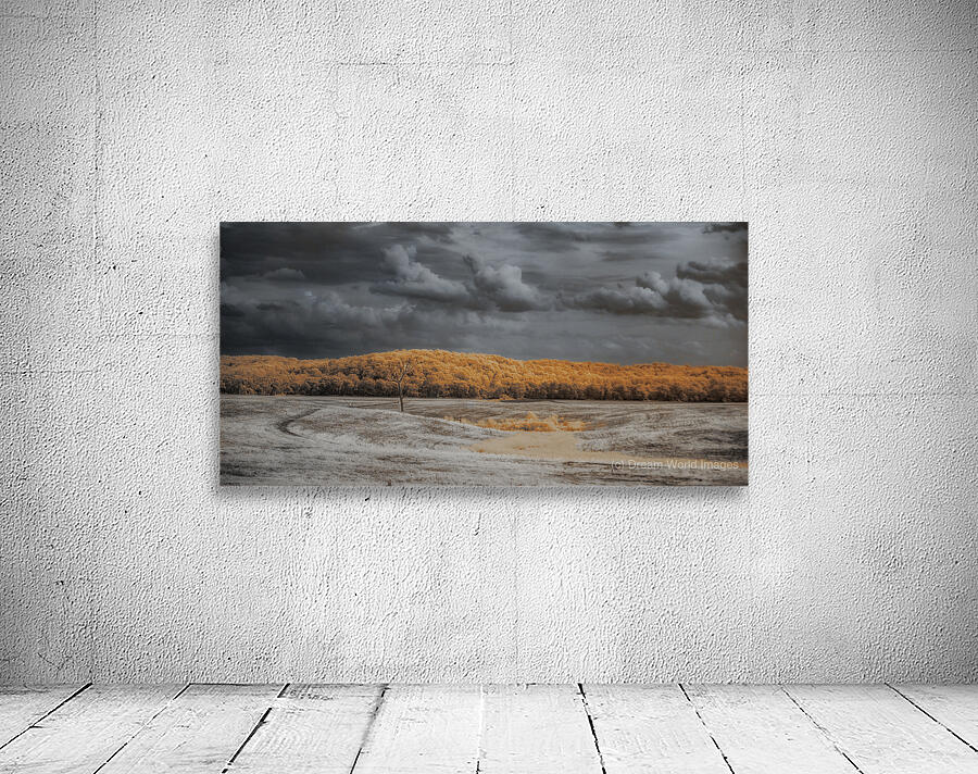 Fields of Surreality Wall Preview