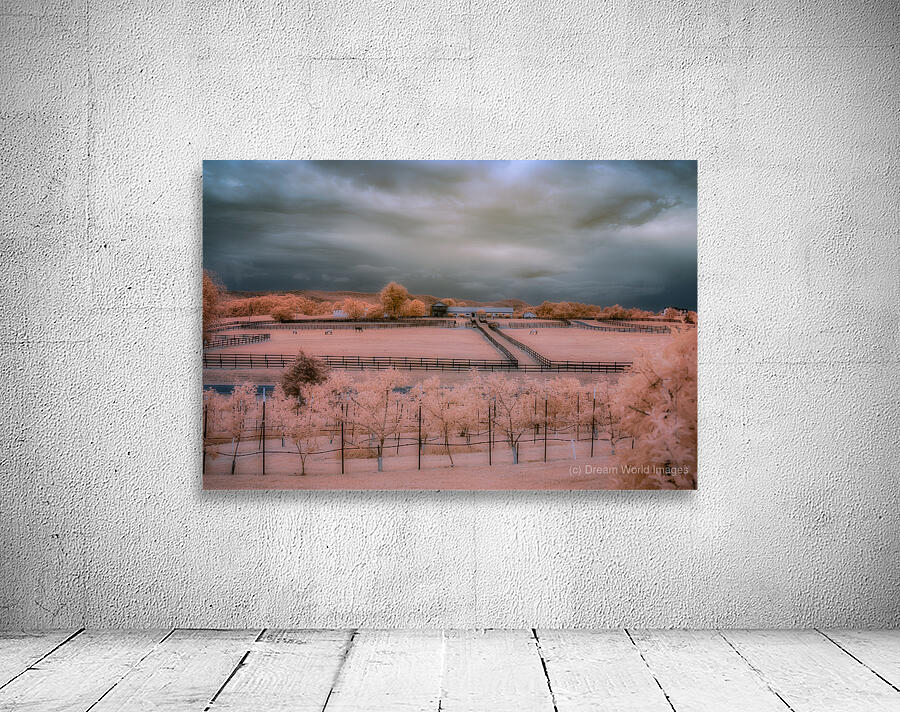 Surreal Ranchscape Wall Preview