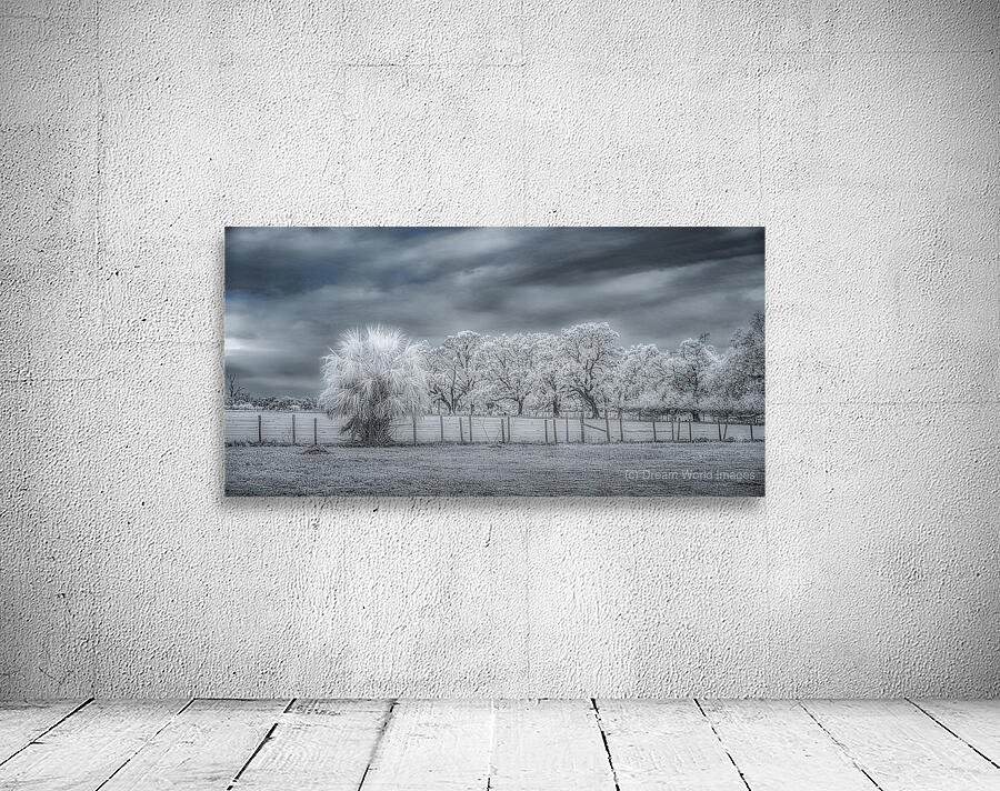 Glowing Presence Wall Preview