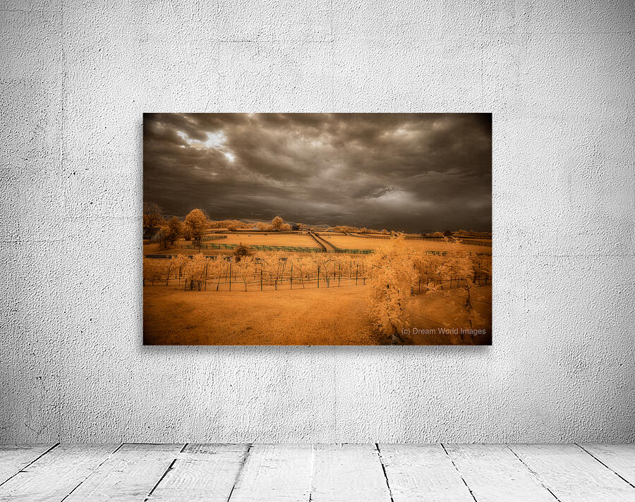 Golden Vineyard Wall Preview