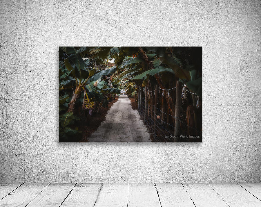 Banana Canopy Secrets Wall Preview