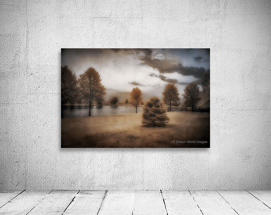 Moonlight Dreaming by the Lake  Wall Preview