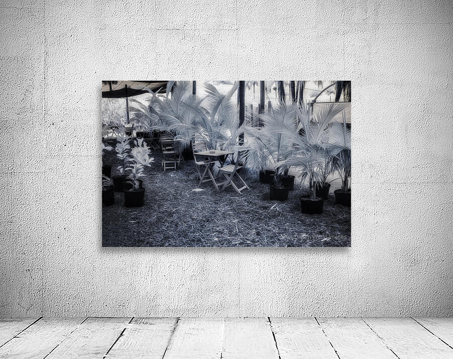 Shady Oasis Cafe Wall Preview