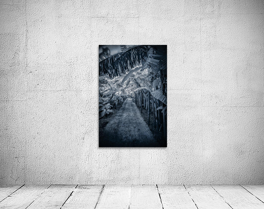 Tropical Banana Pathway Wall Preview