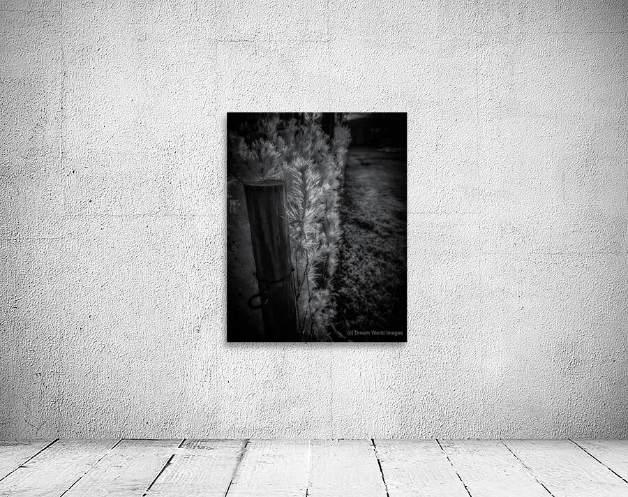 Luminous Intricacy Wall Preview