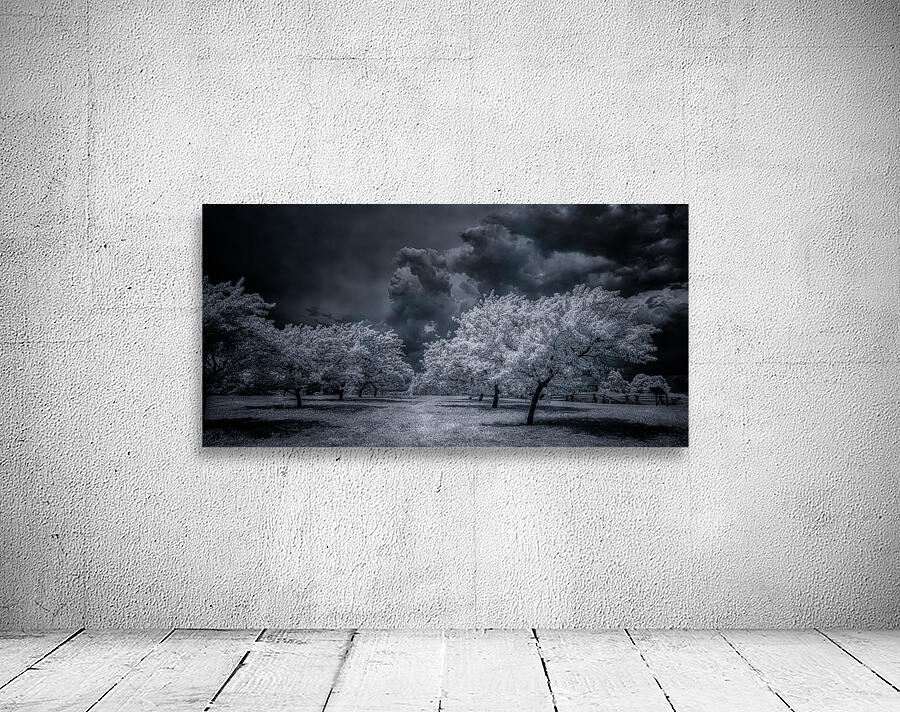 Illumination in Turmoil Wall Preview