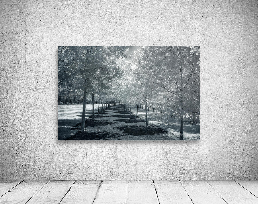 Canopy of Silent Shadows Wall Preview