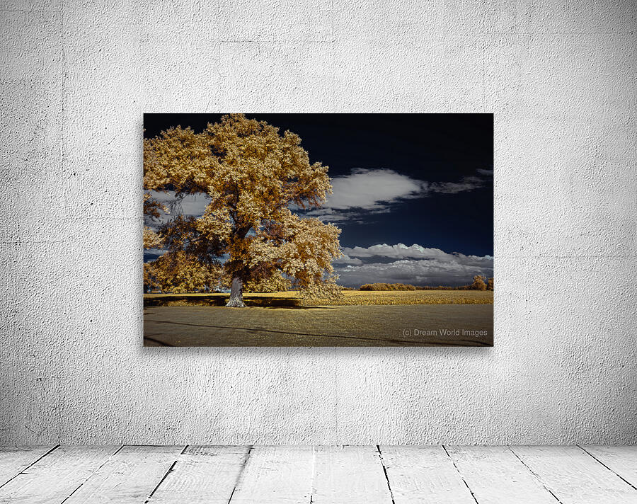 Vibrant Sentinel Wall Preview