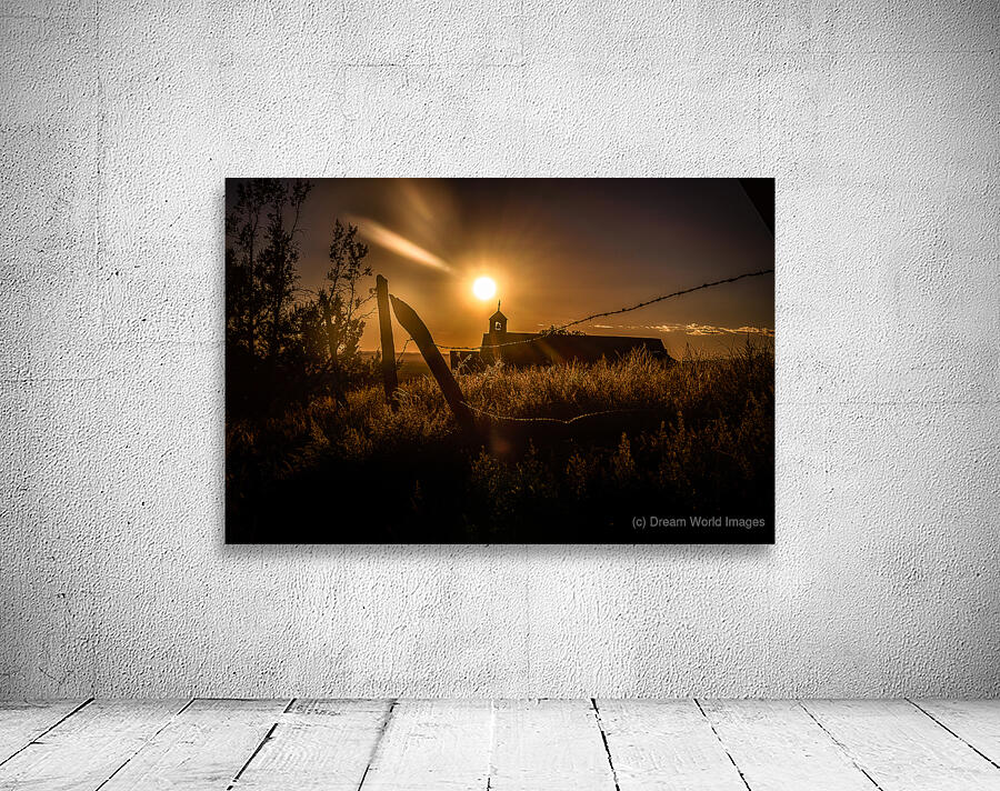 Sun-Kissed Harmony Along Rustic Lines Wall Preview