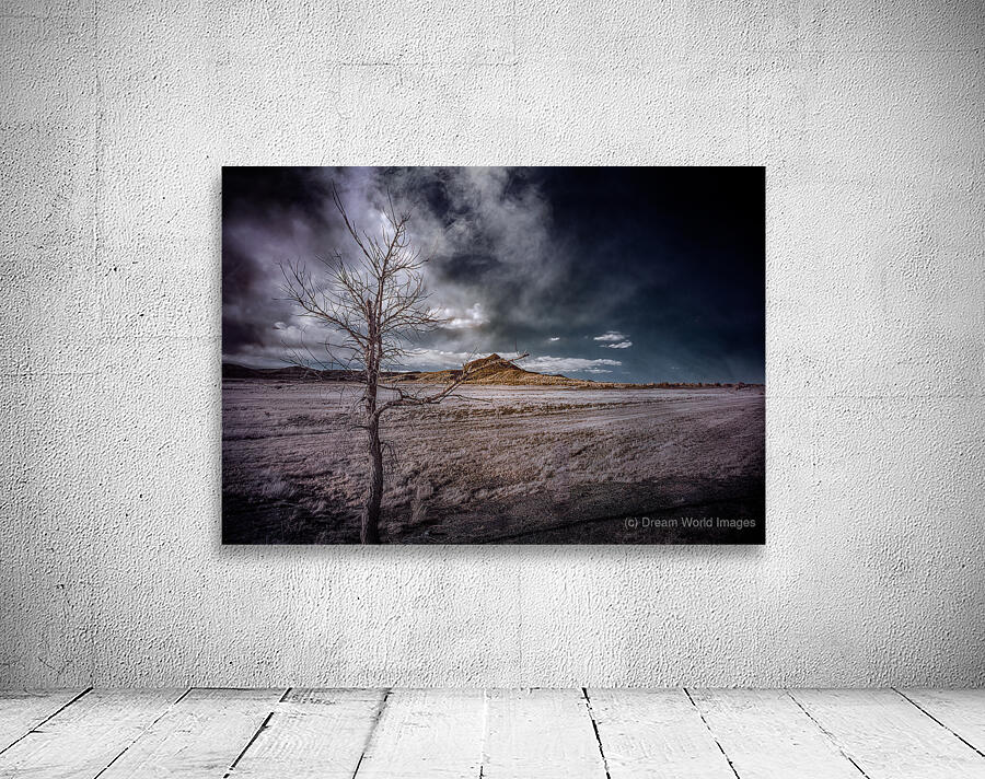 Realm of the Unknown: Lone Tree Mount Wall Preview