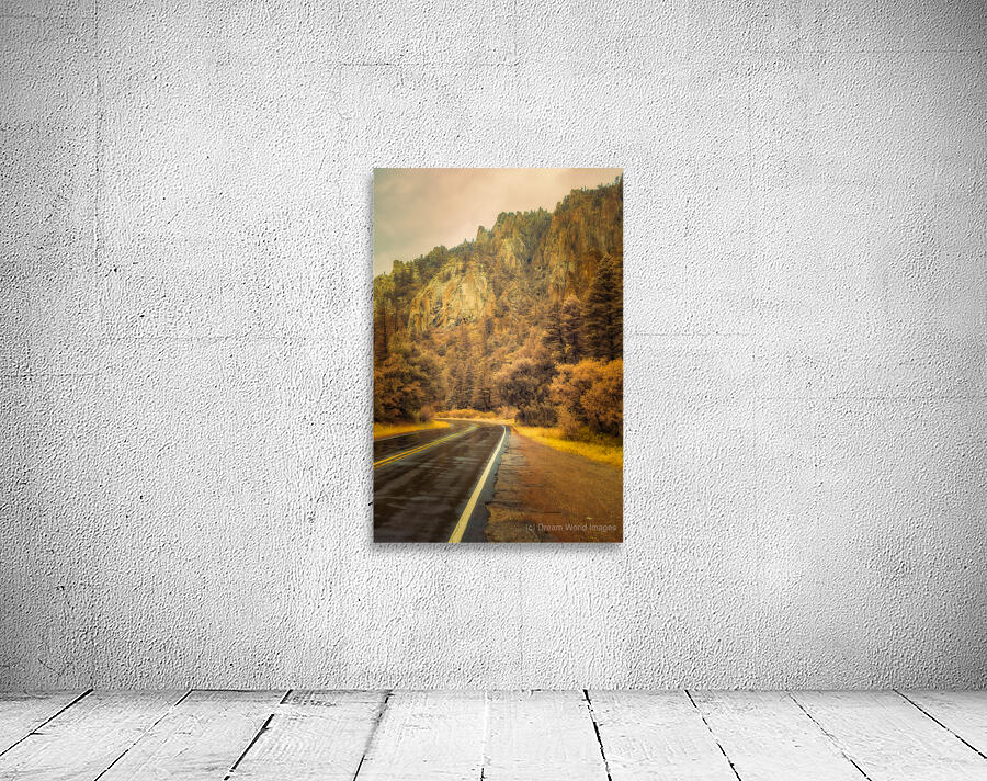 Reflections of a Rain-Kissed Road Wall Preview