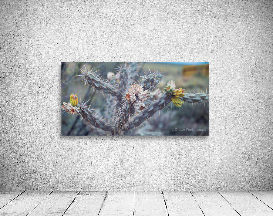 Resilient Beauty of the Desert Wall Preview