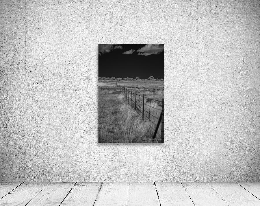 Fenceline Whisper in Monochrome Wall Preview
