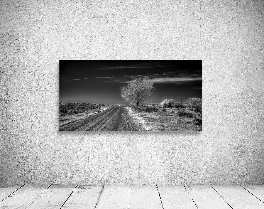 Ethereal encounters: a monochrome journey through Dawson NM Wall Preview