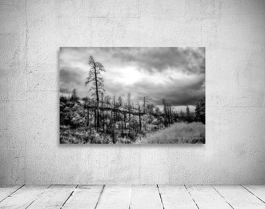 After the Fires Whisper Wall Preview