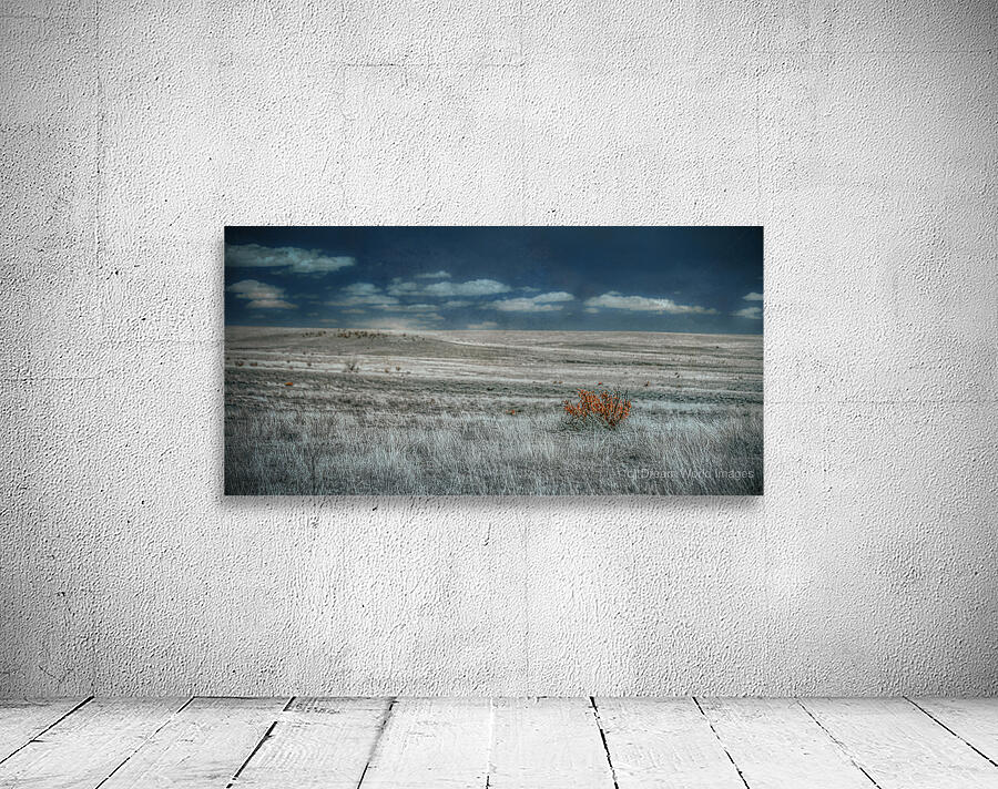 Solitary Flame Under Azure Canopy Wall Preview