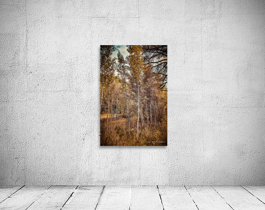 Serenade of Fall Foliage Wall Preview