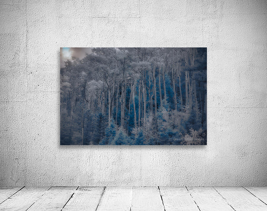 Ethereal Blue Amidst Monochrome Forest Wall Preview