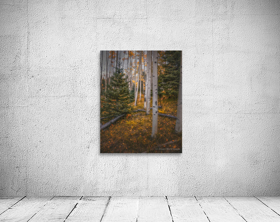 Eternal Transition of the Forest Wall Preview