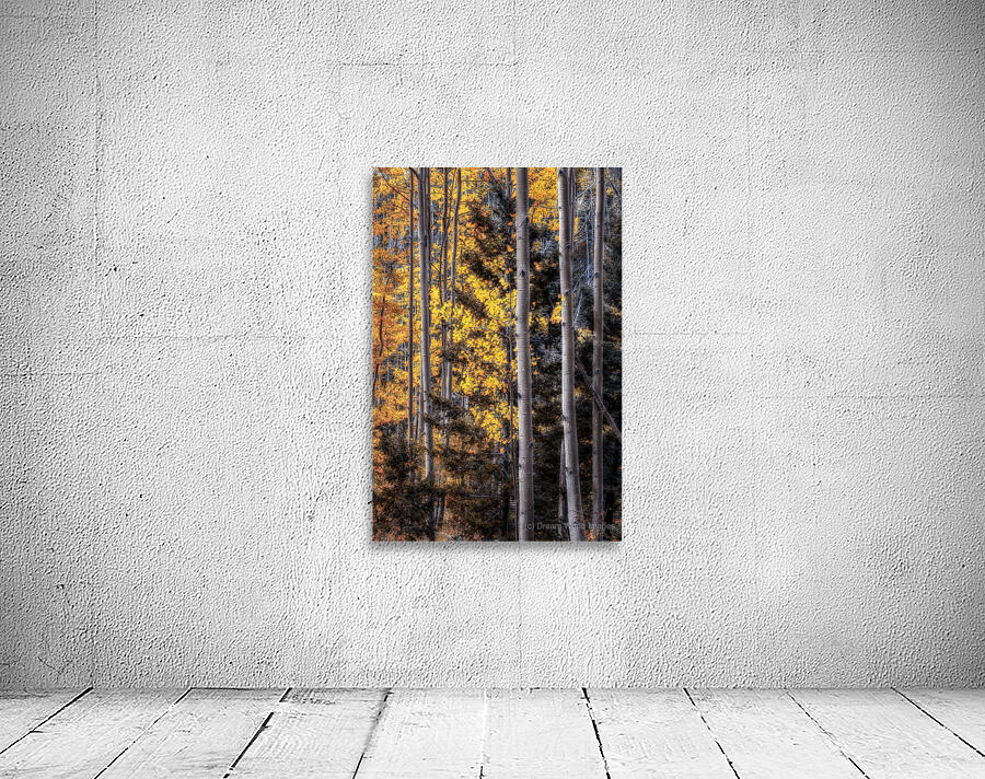 Warmth Amidst the Shadows Wall Preview