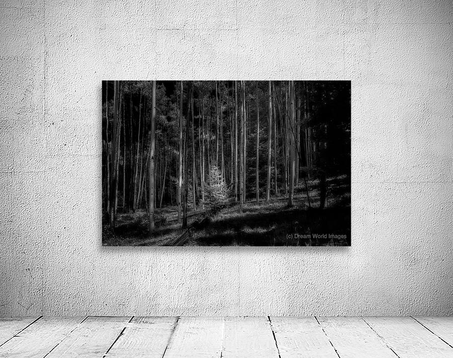 Infrared Luminescence on Artist Road Wall Preview