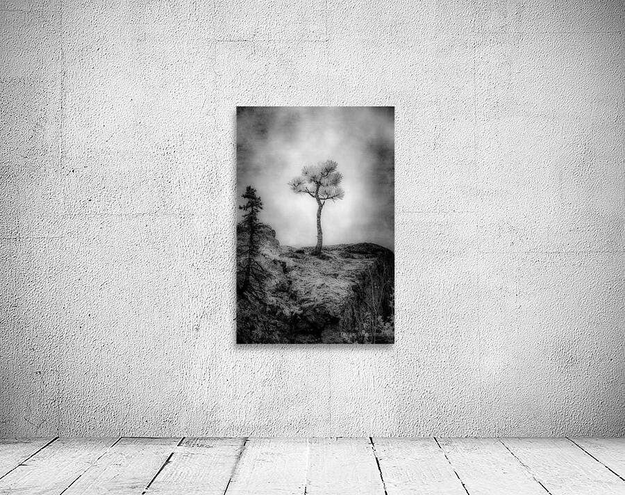 Serene Sylvan Lake: Alone on the Hill Wall Preview