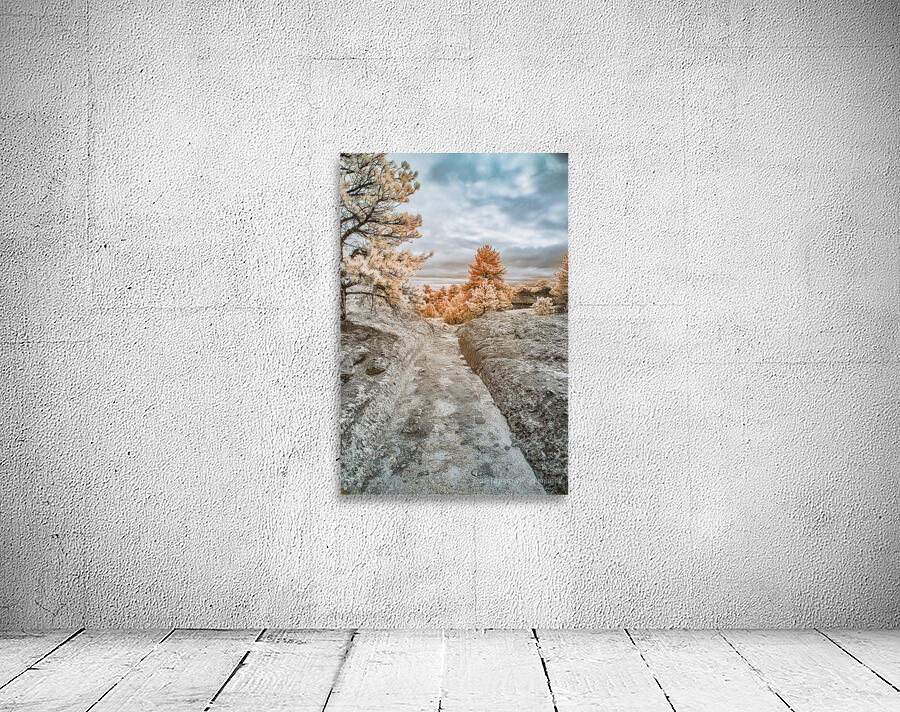 Westward Dreams: Pioneer Paths Wall Preview