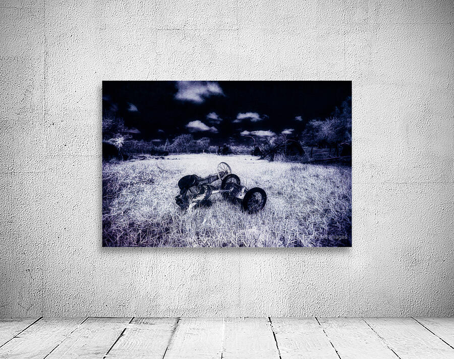 Rustic Relic - Blue Trike Wall Preview