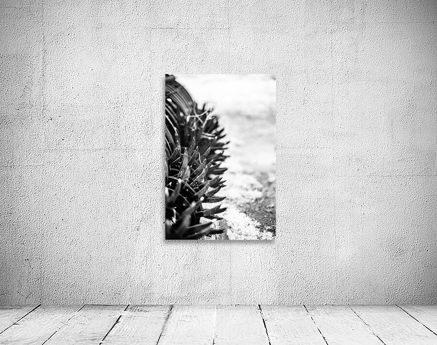 Rustic Relic - Nebraska Death Wheel Wall Preview