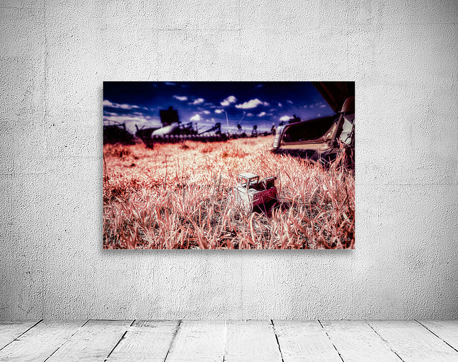 Rustic Relic - Kids Toy Remnant Wall Preview