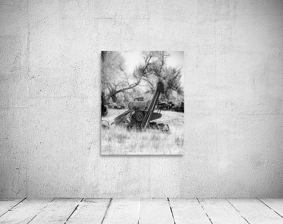 Rustic Relic - Farm Giraffe Wall Preview