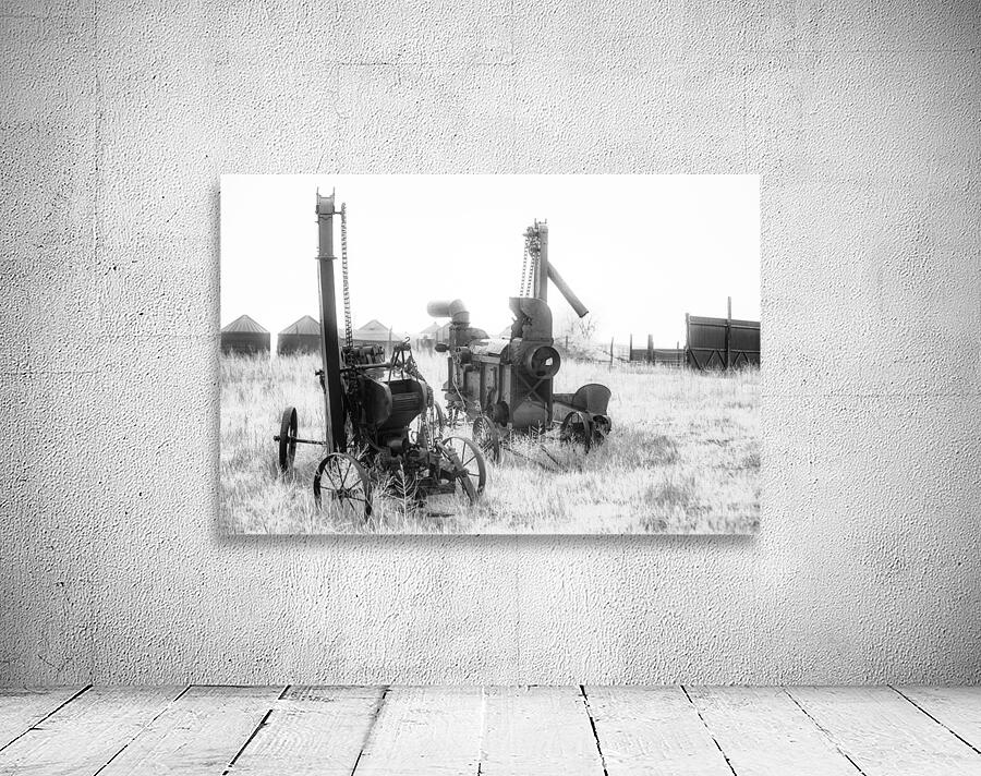 Rustic Relic - Harvest Twins Wall Preview