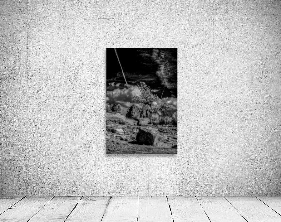 Boulder and Branch Under Silent Clouds Wall Preview