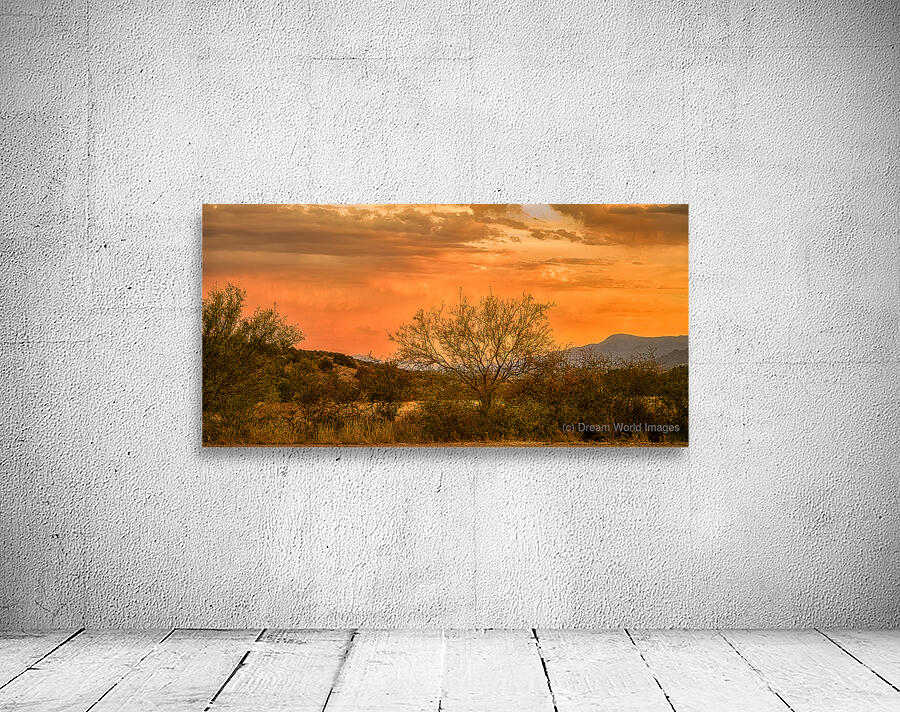 ETERNAL CALM OF DESERT HUES Wall Preview