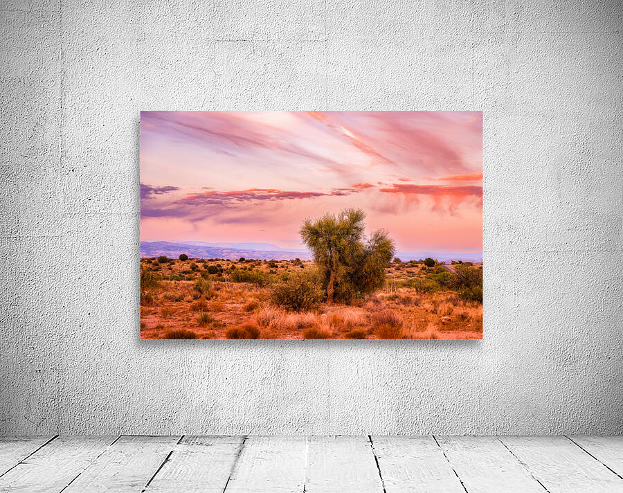 WHISPERS THROUGH THE SUNLIT CANOPY Wall Preview