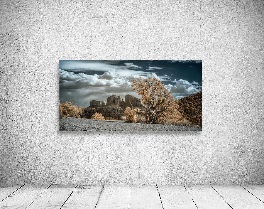 Solitary Desert Dreams Wall Preview