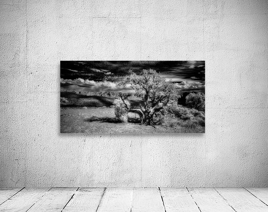 Bark and Cloud: A Monochrome Dialogue Wall Preview